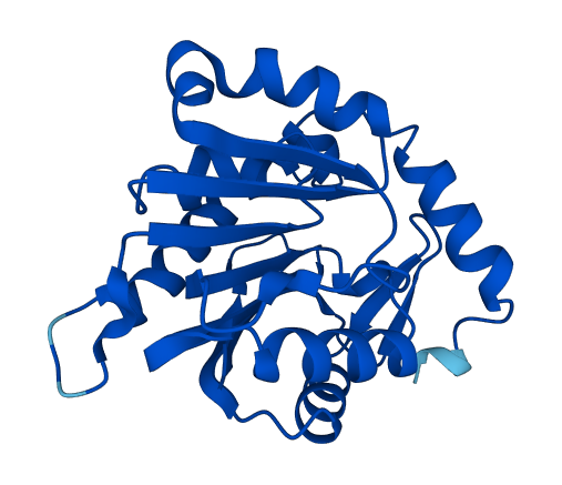 NTMT1 3D structure