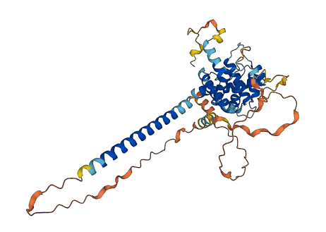 CNPPD1 3D structure