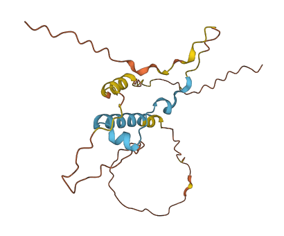 ZNF747 3D structure