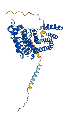 FICD 3D structure
