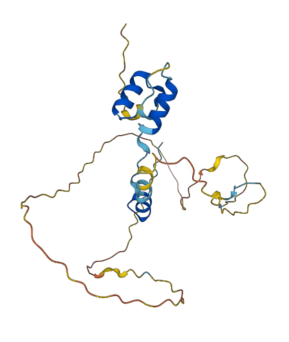 C2orf49 3D structure