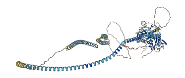 KIFC3 3D structure
