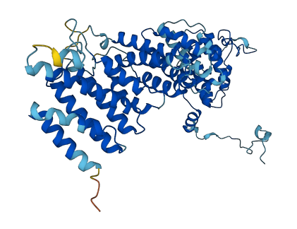 NOC4L 3D structure