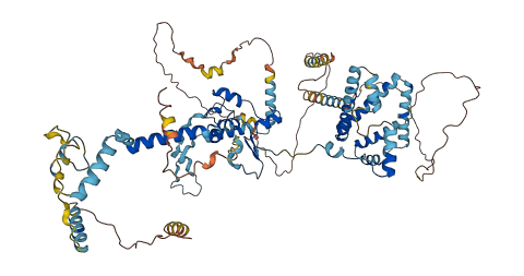 UTP14A 3D structure