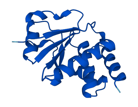 DUSP23 3D structure