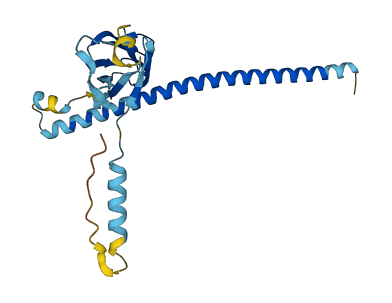 TMED9 3D structure