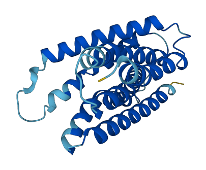 TMEM147 3D structure