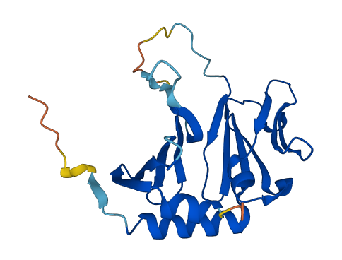 DPCD 3D structure