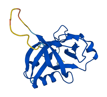 GGACT 3D structure