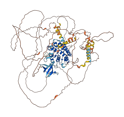 RUSC1 3D structure