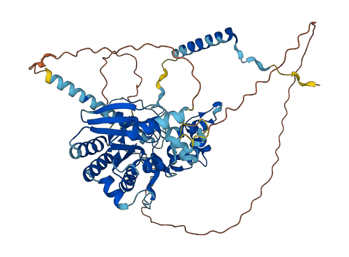 GNL3 3D structure