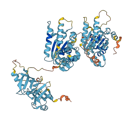 SPATA5L1 3D structure