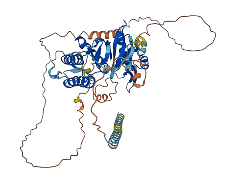 RIOK2 3D structure