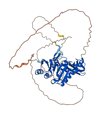 TRMT61B 3D structure