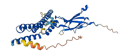 FNDC11 3D structure