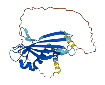 TIMM21 3D structure