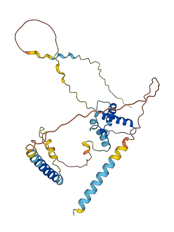 TIPIN 3D structure