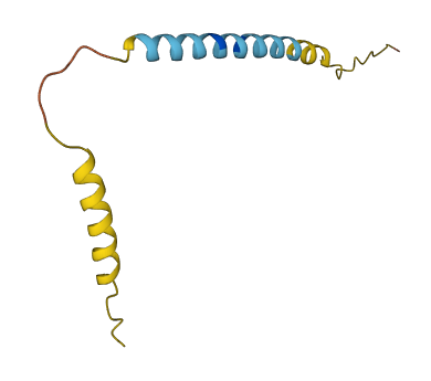 SMIM2 3D structure