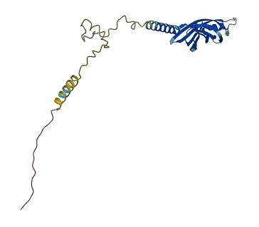 TMEM106C 3D structure