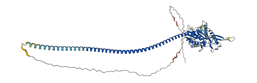 KIFC1 3D structure