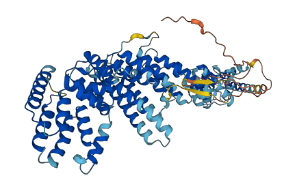 NUP85 3D structure