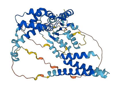 KATNAL1 3D structure