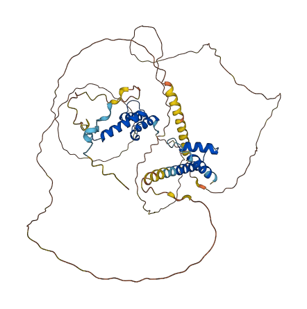 HIRIP3 3D structure