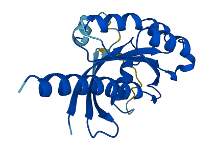 IFT27 3D structure