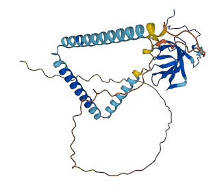 YJU2 3D structure