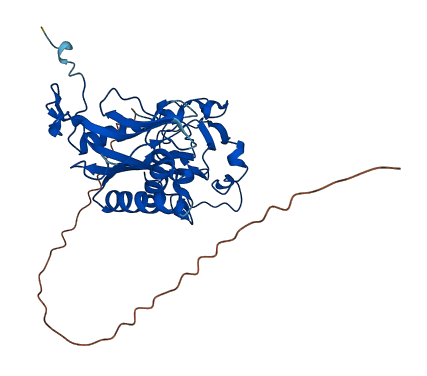 NUDT9 3D structure