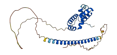 CCDC106 3D structure