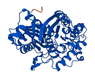 ACAT2 3D structure