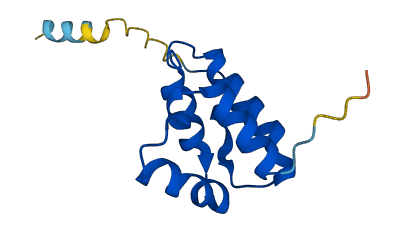 RTL8A 3D structure