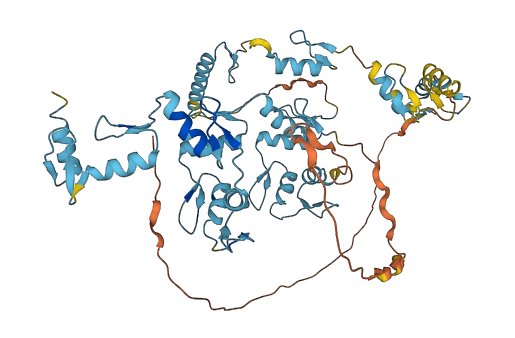 REPIN1 3D structure