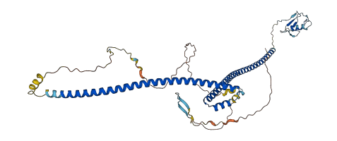 TRAIP 3D structure