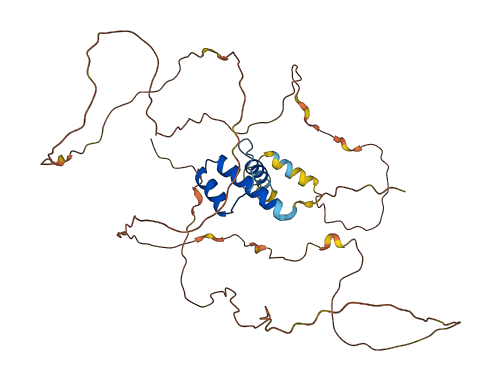 SSBP4 3D structure