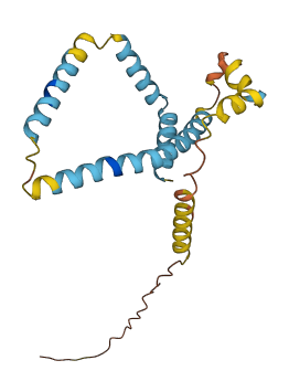 FUNDC2 3D structure