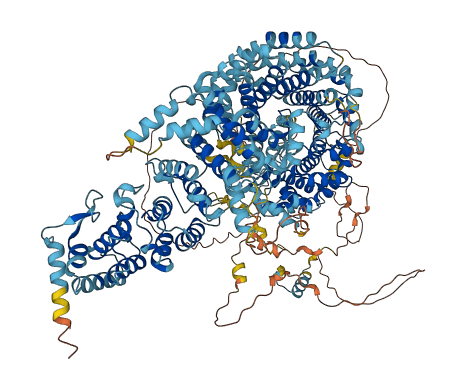 RPAP1 3D structure