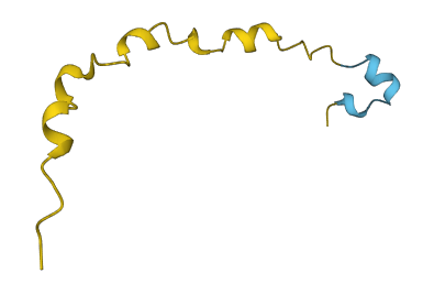 RHPN1-AS1 3D structure