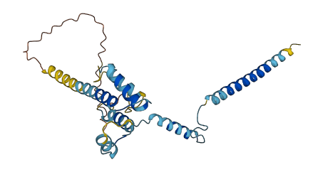 C1orf43 3D structure