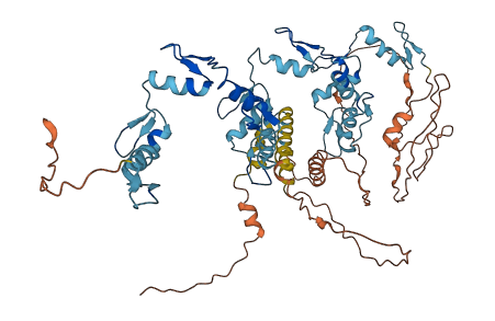 ZNF416 3D structure