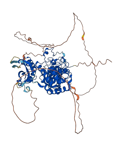 PAPOLG 3D structure