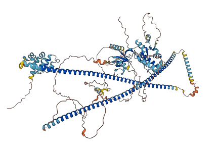 CARD10 3D structure