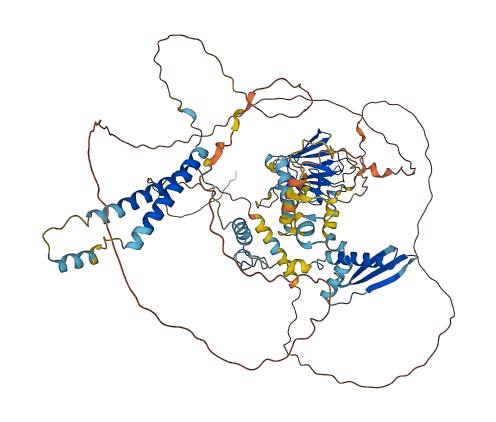 SLC4A1AP 3D structure