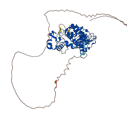CDK19 3D structure