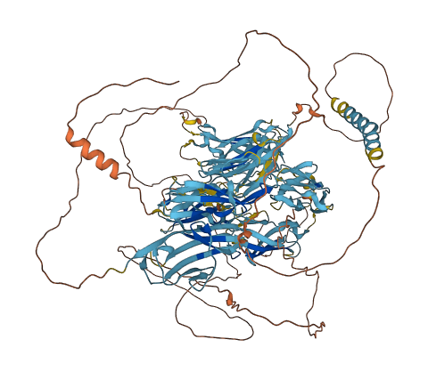 BOC 3D structure