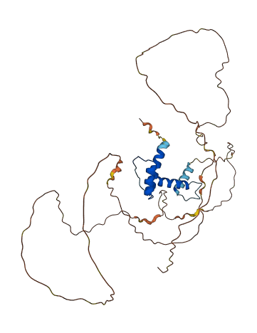 SSBP3 3D structure