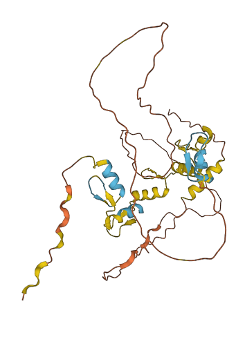 SCRT1 3D structure