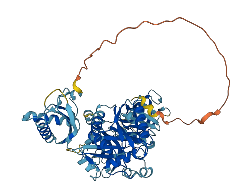 GTPBP2 3D structure