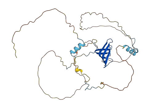 LSM14B 3D structure